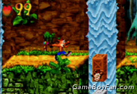 Crash Bandicoot: The Huge Adventure Crash Bandicoot: The Huge Adventure