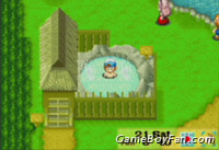 Harvest Moon: Friends of Mineral Town Harvest Moon: Friends of Mineral Town