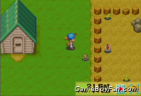Harvest Moon: Friends of Mineral Town Harvest Moon: Friends of Mineral Town